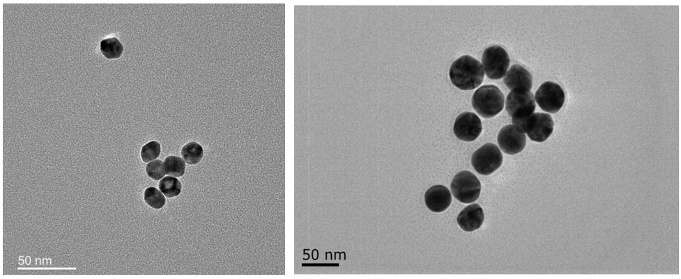 屏幕截图 2025-10-10 215323.jpg