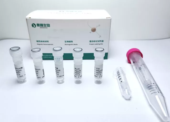 碱性磷酸酶标记,抗体标记,蛋白标记,ALP标记