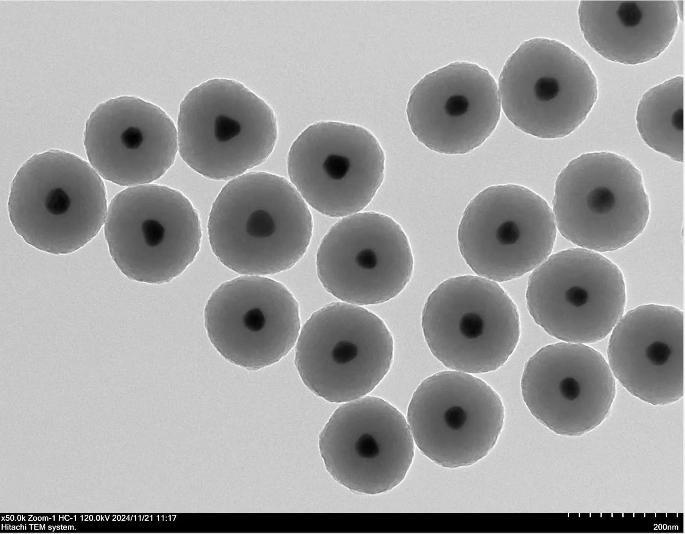 金纳米棒, AuNRs, Gold Nanorods, LSPR, SPR