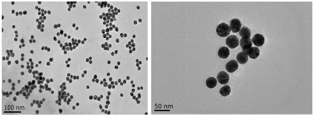 屏幕截图 2025-10-10 220131.jpg